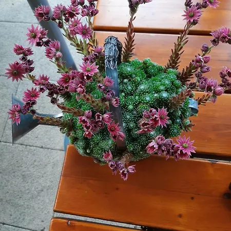 Brunnsteffl - Lindner *