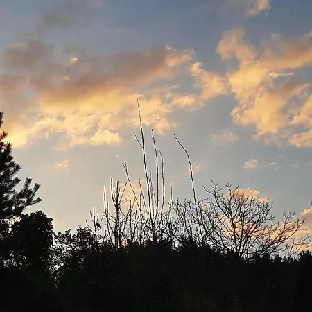 Brunnsteffl - Lindner Apartment