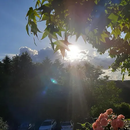 Brunnsteffl - Lindner Apartment *