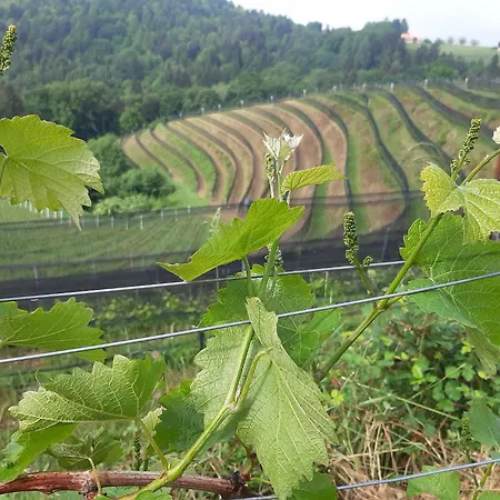 Apartment Brunnsteffl - Lindner *