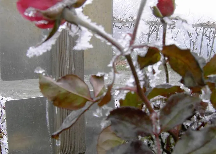 Brunnsteffl - Lindner 아파트 *