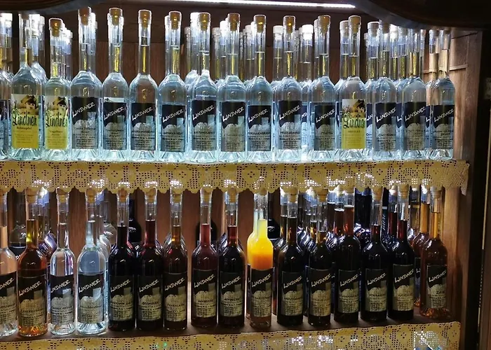 아파트 Brunnsteffl - Lindner Sankt Andra-Hoch