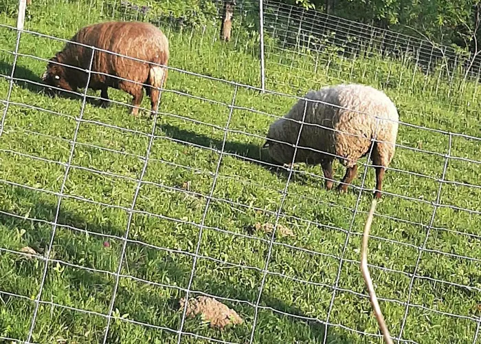 아파트 Brunnsteffl - Lindner