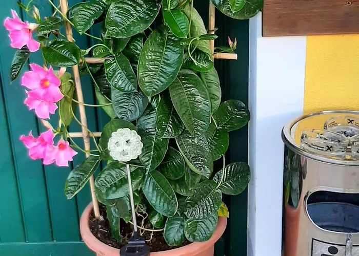 Brunnsteffl - Lindner 아파트