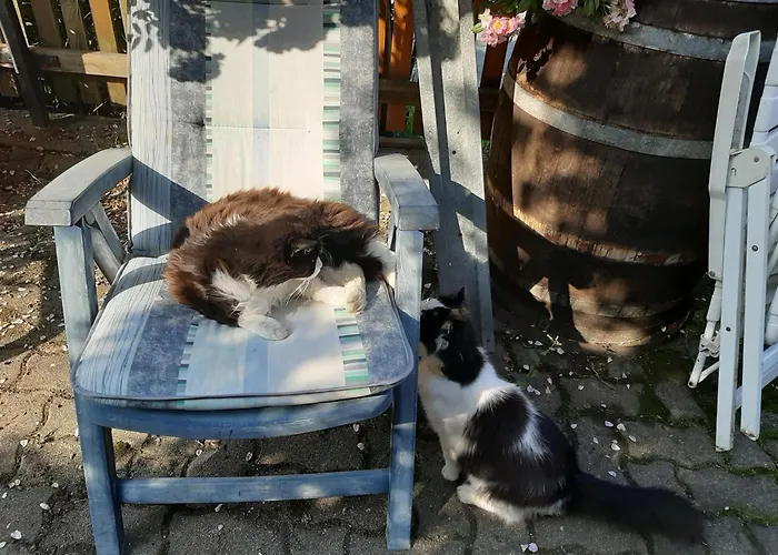 아파트 Brunnsteffl - Lindner *