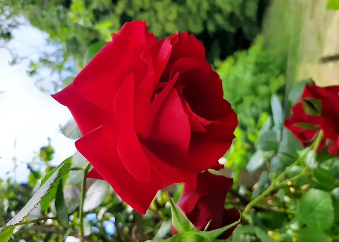 Brunnsteffl - Lindner 아파트