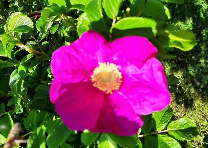 Brunnsteffl - Lindner 아파트