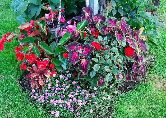 아파트 Brunnsteffl - Lindner Sankt Andra-Hoch