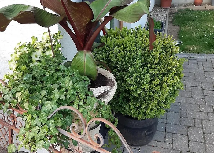 아파트 Brunnsteffl - Lindner *