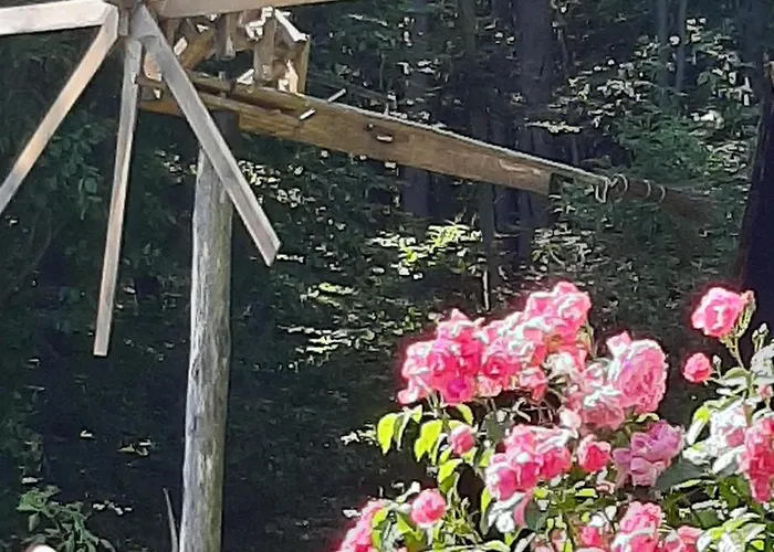 아파트 Brunnsteffl - Lindner *