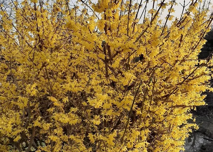 Brunnsteffl - Lindner Sankt Andra-Hoch