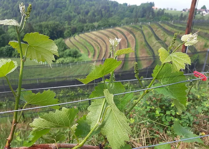 아파트 Brunnsteffl - Lindner *