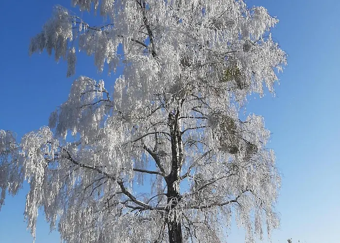 Brunnsteffl - Lindner 아파트 Sankt Andra-Hoch
