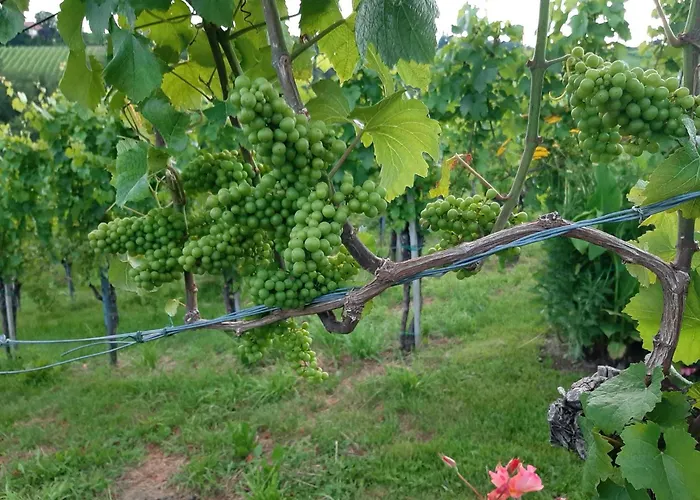 Brunnsteffl - Lindner 아파트 *